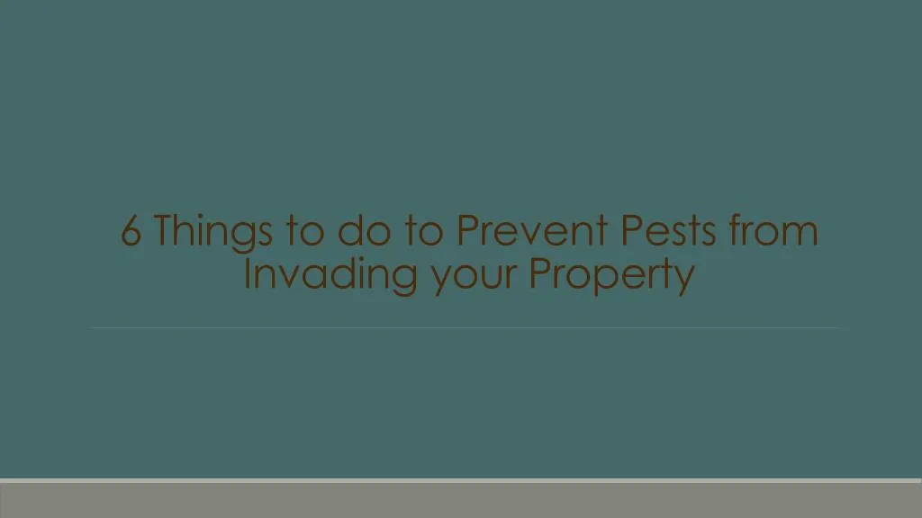 6 things to do to prevent pests from invading your property