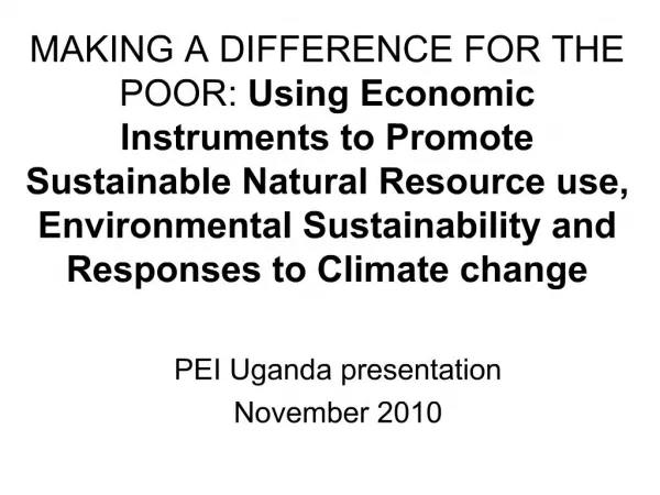 MAKING A DIFFERENCE FOR THE POOR: Using Economic Instruments to Promote Sustainable Natural Resource use, Environmental