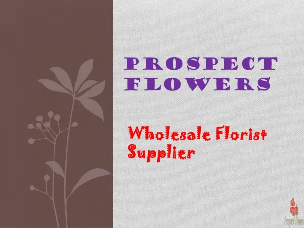 Buy Wholesale Wedding Flowers online