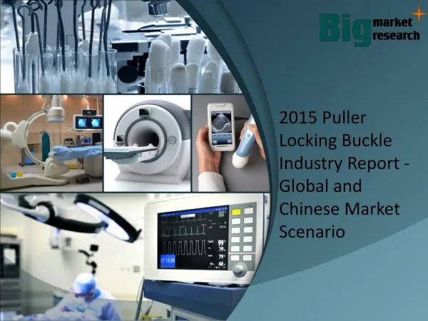 Puller Locking Buckle Industry Report - Global and Chinese Market Scenario