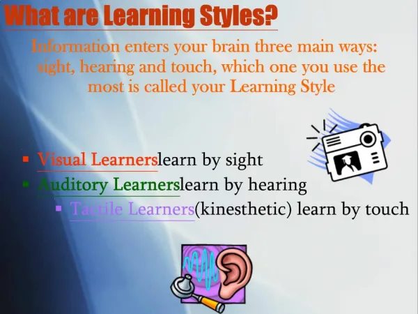 What are Learning Styles