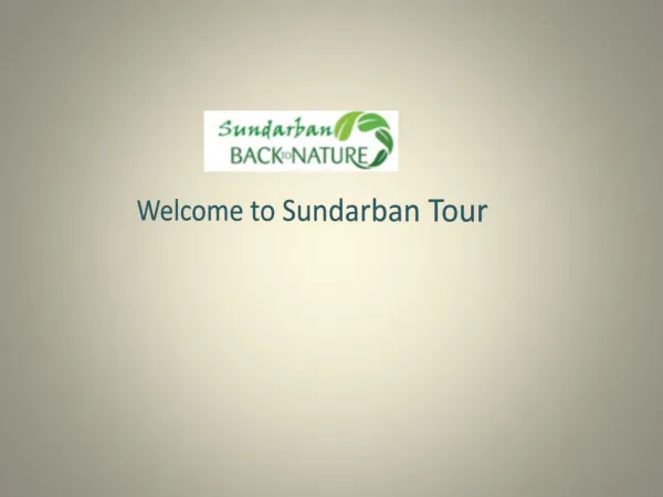 Tourist Attraction of Sundarban