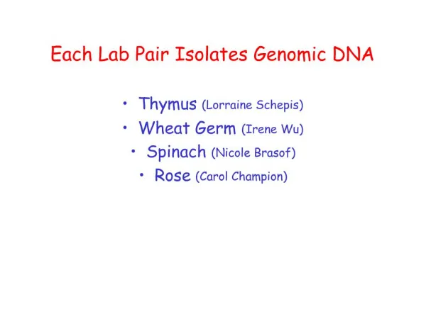 Each Lab Pair Isolates Genomic DNA