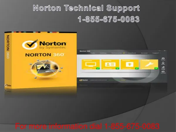 Norton antivirus support