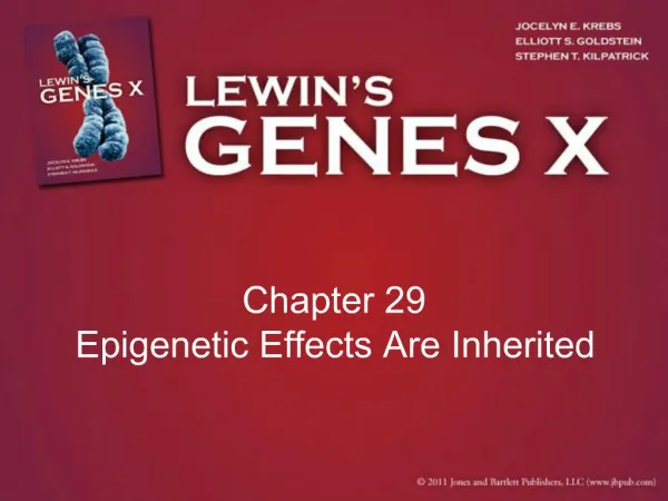 Chapter 29 Epigenetic Effects Are Inherited