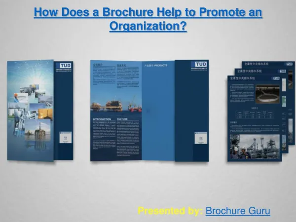 How Does a Brochure Help to Promote an Organization?