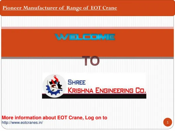 Stunning guide about EOT Crane