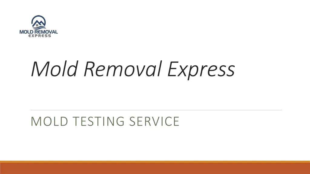 mold removal express