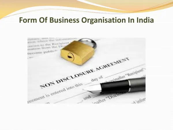 Form Of Business Organisation In India