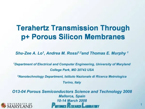 Terahertz Transmission Through p Porous Silicon Membranes