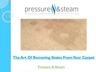 The Art Of Removing Stains From Your Carpet