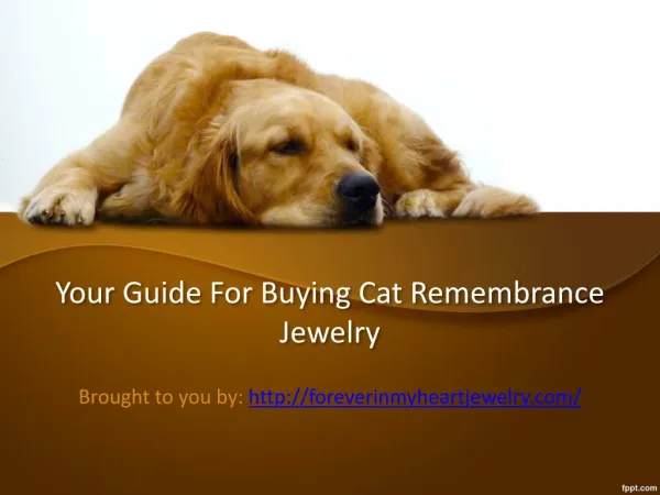 Your Guide For Buying Cat Remembrance Jewelry