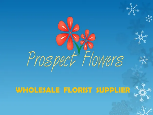 Wholesale FLowers Online