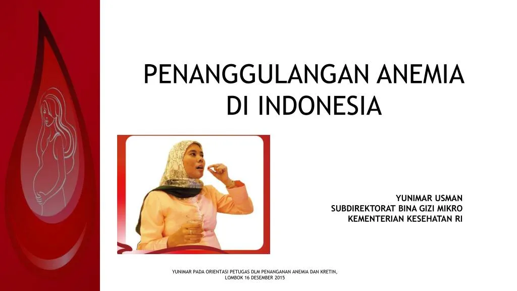 penanggulangan anemia di indonesia