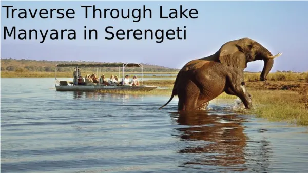 Traverse Through Lake Manyara in Serengeti