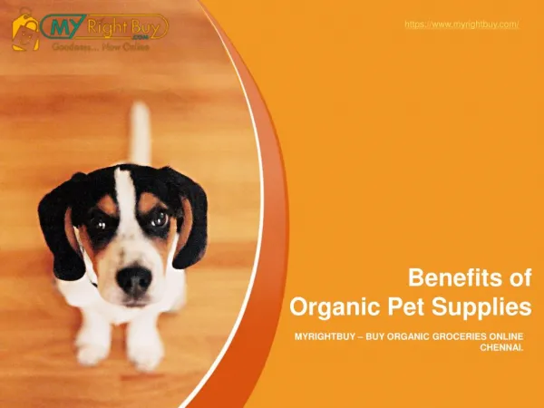 Benefits of Organic Pet Supplies and Organic Dog Food