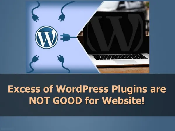 Excess of WordPress Plugins are NOT GOOD for Website!