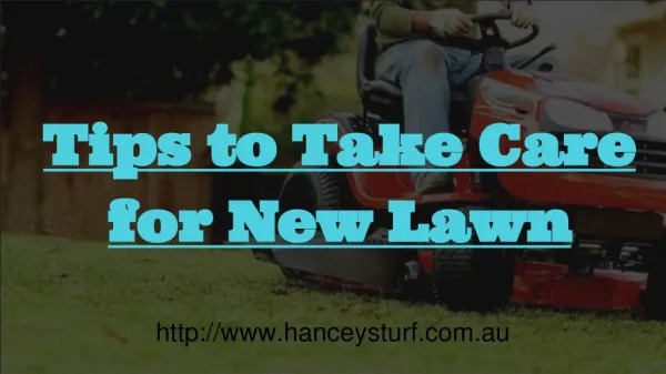 Tips to take care for new lawn!!