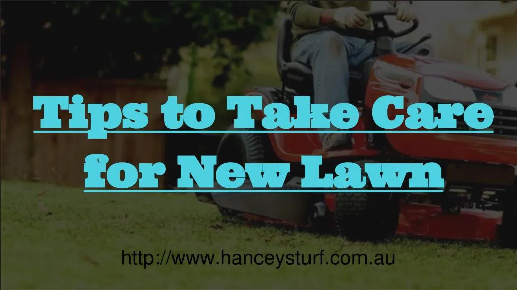 tips to take care for new lawn