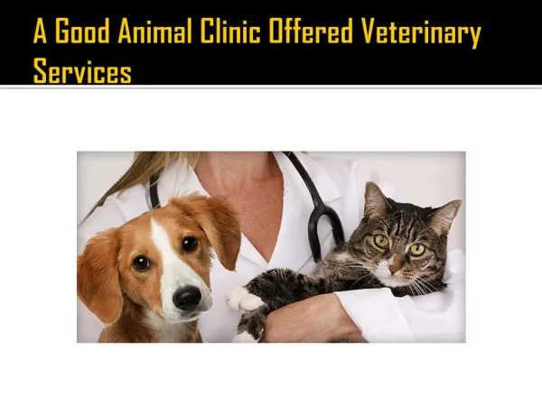 A Good Animal Clinic Offered Veterinary Services