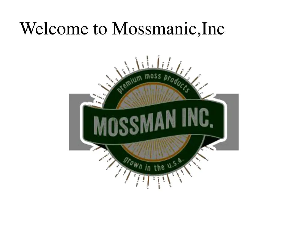 welcome to mossmanic inc