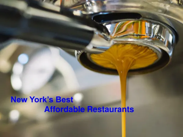 New York's Best Affordable Restaurants