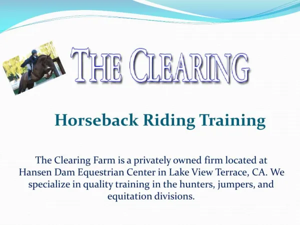 Horseback Riding Training