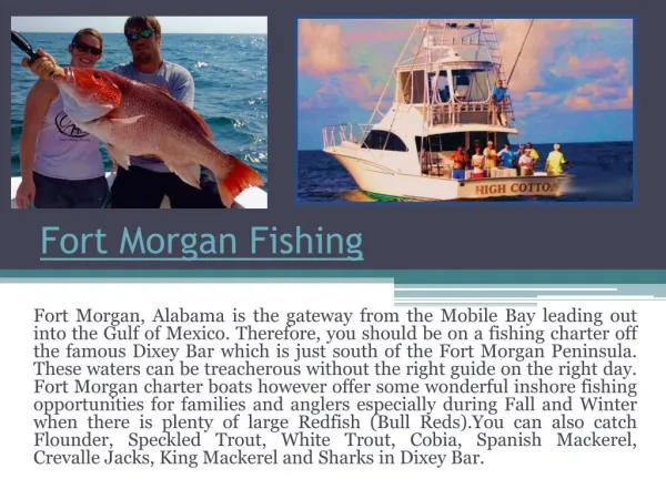 Fort Morgan Deep Sea Fishing