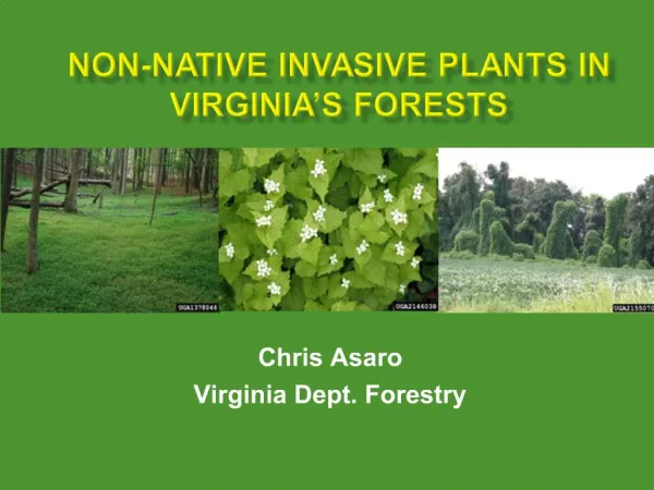 Non-Native Invasive Plants in Virginia s Forests