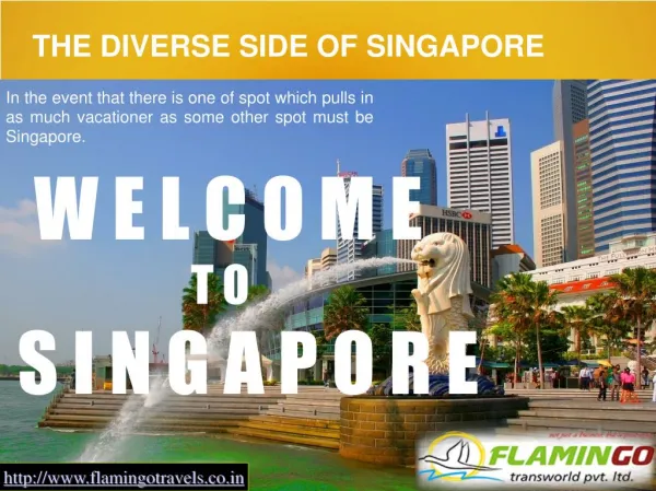 THE DIVERSE SIDE OF SINGAPORE