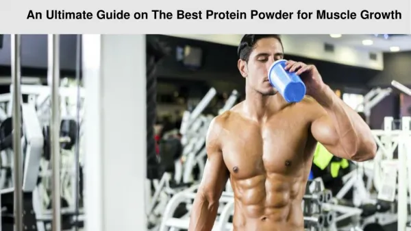 An Ultimate Guide on The Best Protein Powder