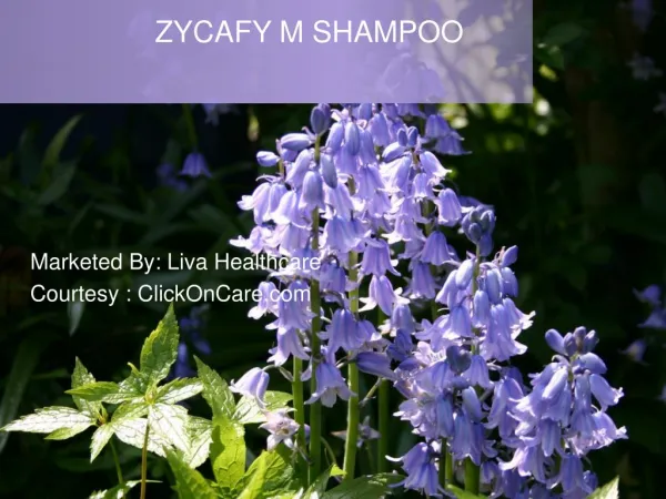 Zycafy - M Shampoo For Men: ClickOnCare.com