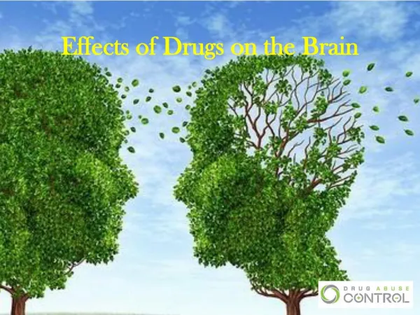 Effects of drugs on the brain