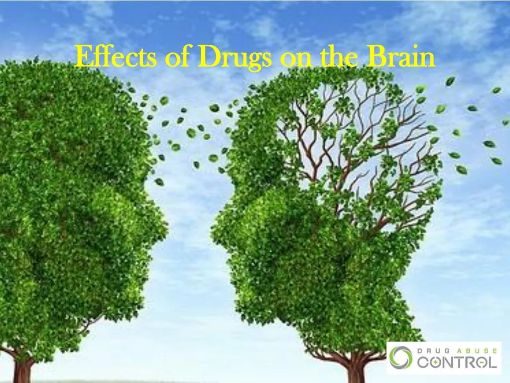 effects of drugs on the brain