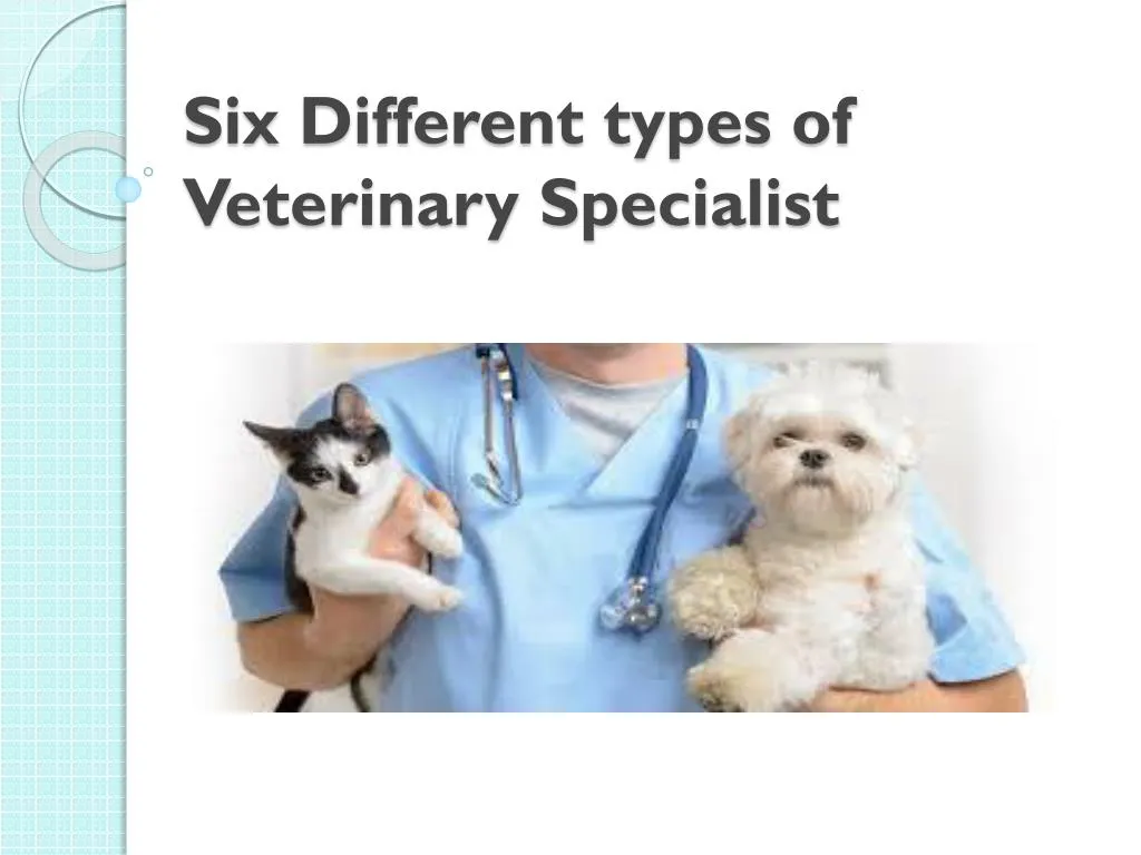 six different types of veterinary specialist