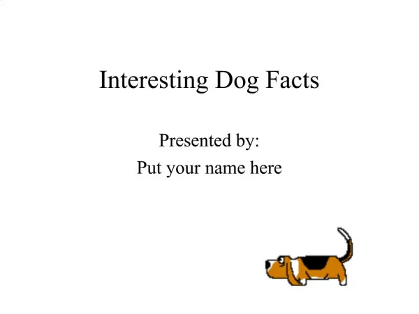 Interesting Dog Facts