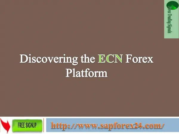 Discovering the ECN Forex Platform | Sapforex24