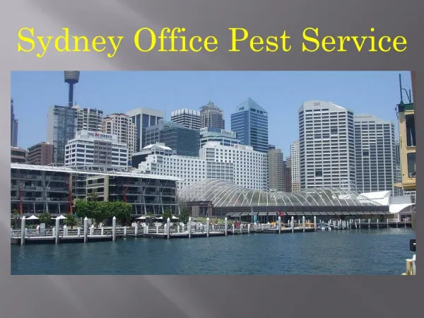Sydney Office Pest Service