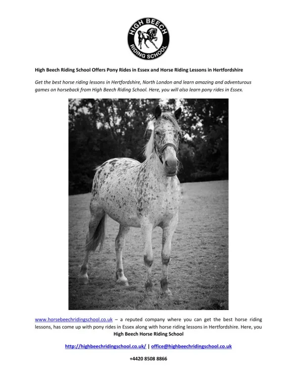 High Beech Riding School Offers Pony Rides in Essex and Horse Riding Lessons in Hertfordshire