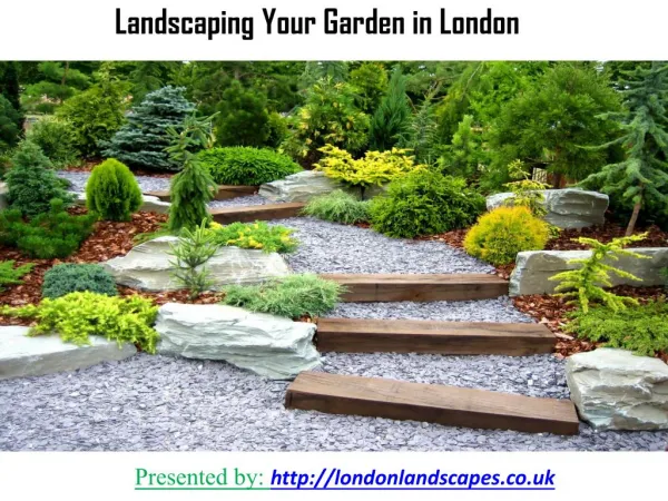 Landscaping Your Garden in London
