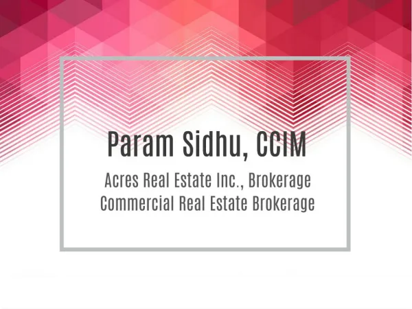 Param Sidhu, CCIM | Commercial Real Estate Brokerage