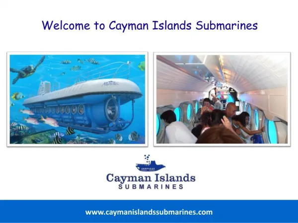 How to Experience the Best of the Underwater World around Cayman Islands