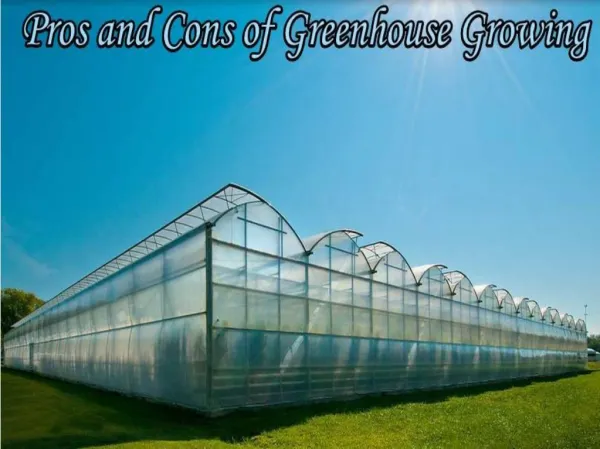 Merits and demerits of greenhouse cultivation