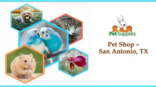 Pet Shop – San Antonio, TX
