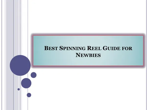 Best Spinning Reel Guide for Newbies
