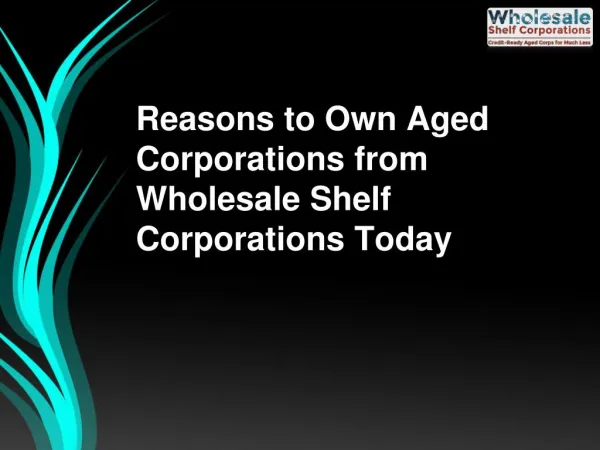 Reasons to Own Aged Corporations from Wholesale Shelf Corporations Today