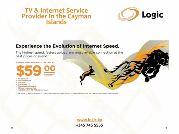 Obtain Premium Internet Services in the Cayman Islands