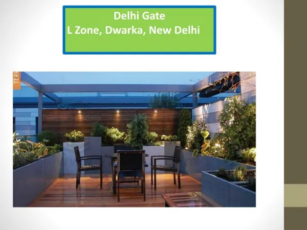 L zone Property Delhi Gate