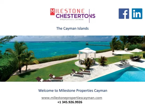 Best-In-Class Real Estate Companies in the Cayman Islands
