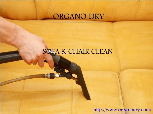 Expert organic sofa and chair cleaning | Cleaning servivces in Delhi & NCR